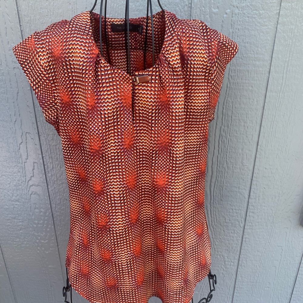 The Limited Blouse